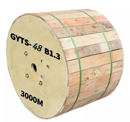 GYTS SM a blindé le câble optique de fibre de 48 noyaux extérieur 9/125u pour la communication de télécom