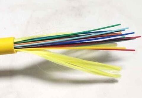 PVC de PE du centre 9/125 de date du noyau LSZH GJFJV-48B1 du câble optique 48 de mode unitaire de SM